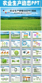 农业生产水稻播种新农村春耕动态