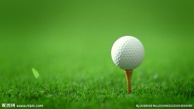 高尔夫球 特写镜头