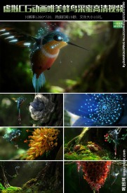 虚拟CG动画唯美蜂鸟采蜜素材