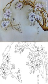 紫气东来 玉兰花