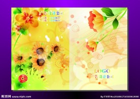 向阳花 精致封面