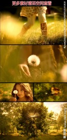 小女孩吹散蒲公英实拍视频素材