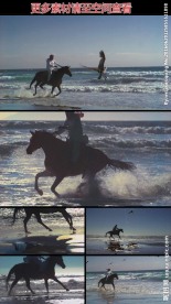 海滩上骑马高清实拍视频素材