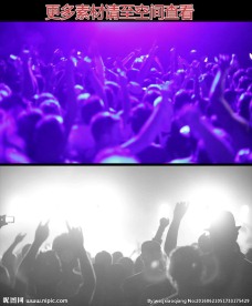 酒吧现场人群狂欢高清实拍视频