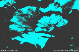 荷花背景 荷花底图