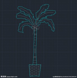 椰子树 cad
