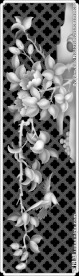 月季花牡丹花花鸟横屏灰度图