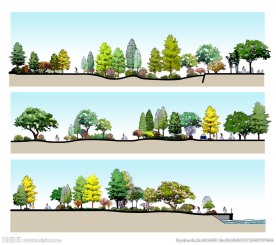 某公园手绘景观剖面图psd