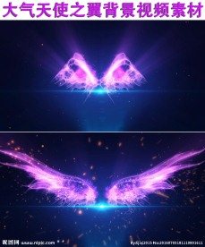 紫色天使之翼背景视频素材