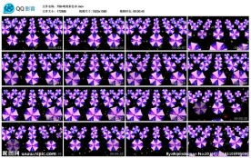 唯美彩色伞歌曲舞台晚会背景视频