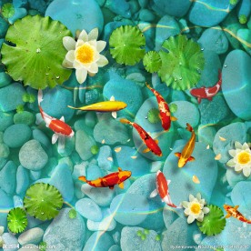 超大清澈池荷叶睡莲河底石PSD