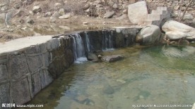 溪流  河流 流水