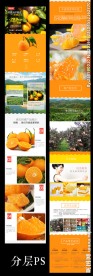 青见柑橘详情页
