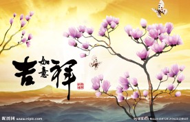 玉兰花