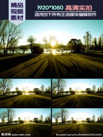 公园湖畔夕阳树影