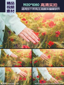 美女轻抚花丛高清实拍视频素材