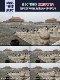 紫禁城故宫游客视频素材