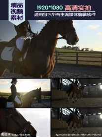 马术骑手展示马匹