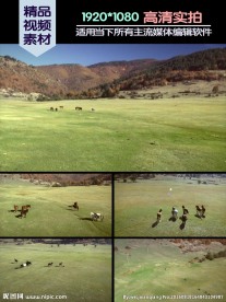 农场马群奔跑实拍视频素材