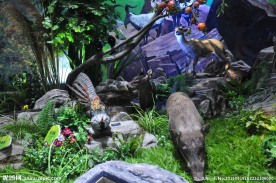 雅安生态博物馆