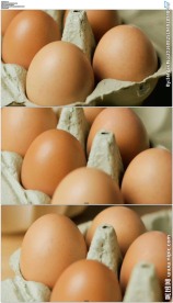 鸡蛋土鸡蛋实拍视频素材