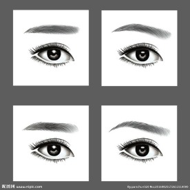 AI逼真眼睛眉毛矢量图