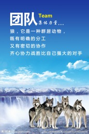 团队企业无框画