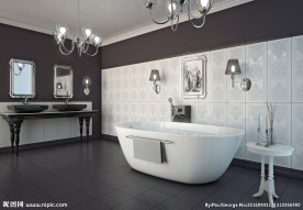 瓷砖效果图  卫生间