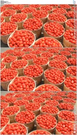 农贸市场小番茄