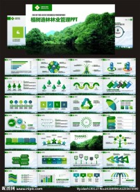 林业PPT模板