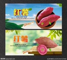 紫薯 红薯