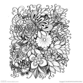 AI矢量精美花朵线稿插画