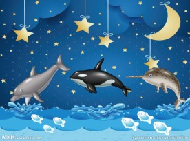卡通海豚星空背景