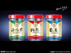 特产干果包装设计