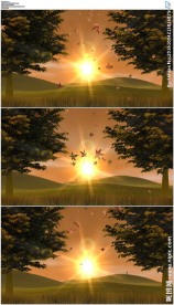 秋天枫叶飘落视频背景