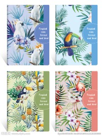 本本封面 热带雨林