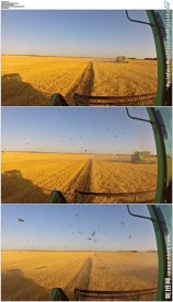 收割机收割小麦