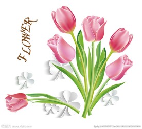 粉郁金香 图层分层