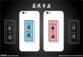 蓝瘦香菇手机壳