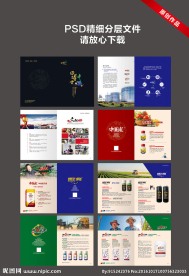 企业画册 样本设计