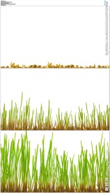 绿色茂密小草生长发芽