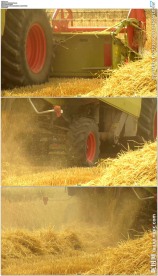 农业机械收割小麦