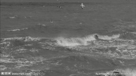 黑色和白色海浪