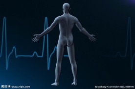 人类医学背景——Loopabl