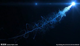 运动元素 冉冉升起的新星