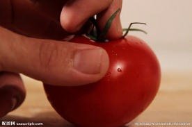 摘番茄茎