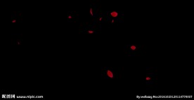 飘落得玫瑰花瓣