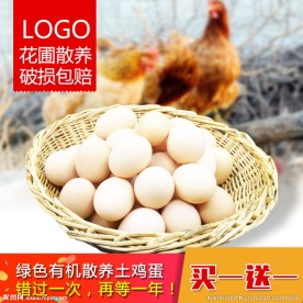 PSD鸡蛋农产品主图设计