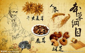 中医养生中药背景墙