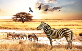 非洲草原风景背景墙